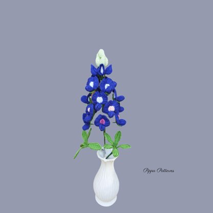 Bluebonnet