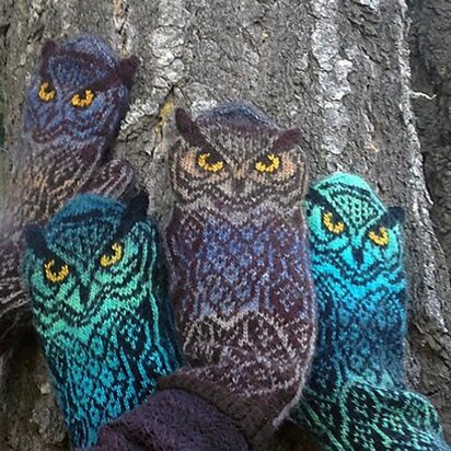 Owl Around