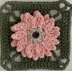 Gerbera Granny Square