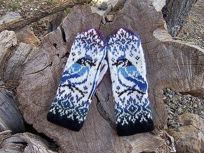 Blue Jay Mittens