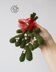 Christmas Mistletoe Ornament