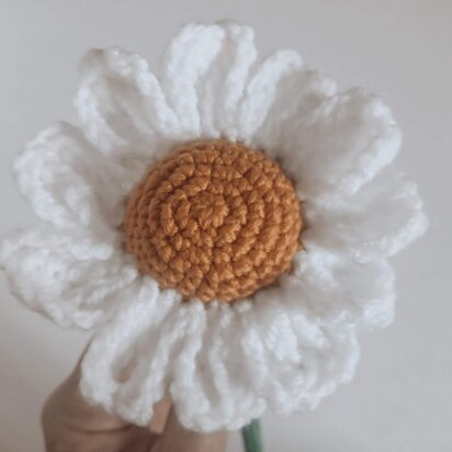 Delectable Daisy Crochet Pattern