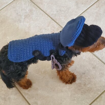 Police Dog Jacket and Hat