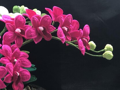Dwarf Orchid Crochet Pattern