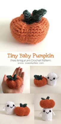 Tiny Baby Pumpkin