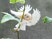 Image de profil