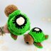 Turtle Custom Kiwi
