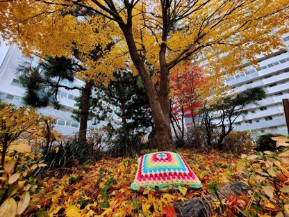 Cotton Candy Granny Cushion