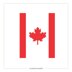 Finger Knitting Chunky Blanket Pattern: Canada Flag DIY Tutorial (PDF Download)