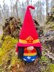 Wonder gnome