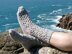 Knitting pattern for men's cabled socks