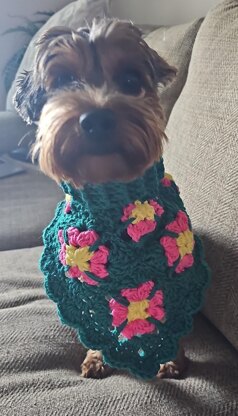 Boho Turtleneck Pet Bandana