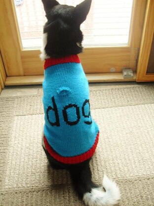 Dog. Sweater