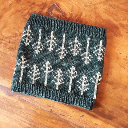 Pinaceae dk cowl