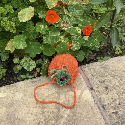 Halloween bag and Pumpkin