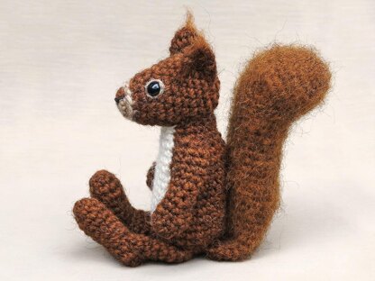 Floro the red squirrel