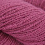 Framboise (14)