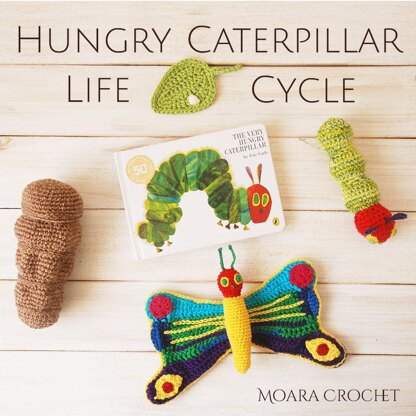 Hungry Caterpillar Life Cycle