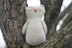 Dreamy Owl