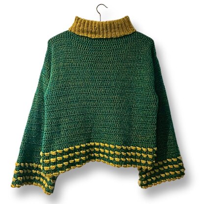 Swirl and Twirl beginner crochet Sweater