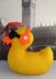 Uber Cool Rubber Ducky Duck Toy