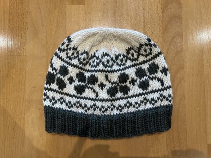 Family Shamrock Hats