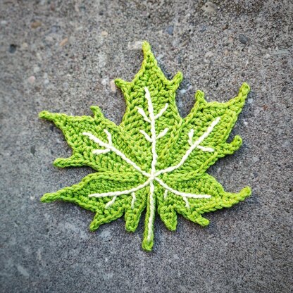 Maple Leaf