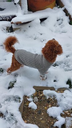 Dog Sweater Charlie No.3