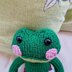 Froggy companion soft toy