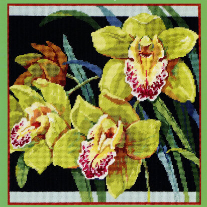 Orchids - PDF