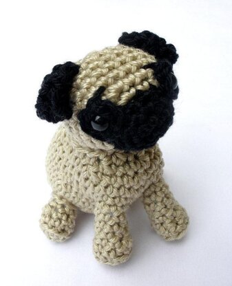 Pug