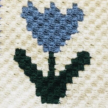 Blue Tulip Flower C2C Graphgan Square