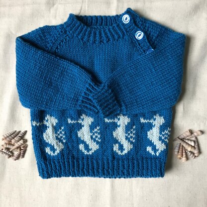 Seahorse Jumper