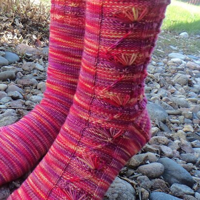 Paradise Flower Socks - knitting pattern