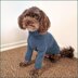 Snug Pup Pullover