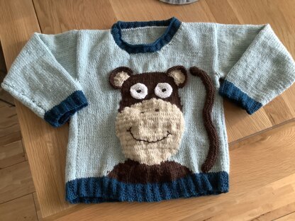 Cheeky monkey jumper