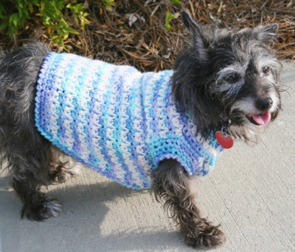 Red heart dog sweater store