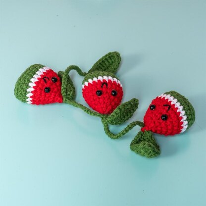 Watermelon Slice Car Hanging