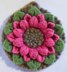 Felted Crocodile Flower Potholder