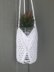 Tamarisk Hanging Planter