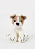 Deramores Dera Dogs 2 PDF