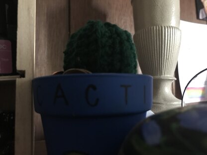 Cactus