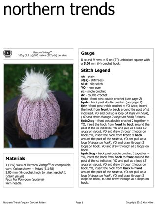 Northern Trends Toque