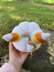 Candy Corn Pumpkin Cat