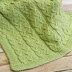 WEBS Emerging Designer #04 Sproutlet Blanket - Knitting Pattern for Kids in Valley Yarns Valley Superwash Bulky