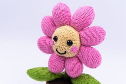 Flower in a Pot in Deramores Studio DK  - Downloadable PDF