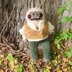 Froggy's Classic Vest