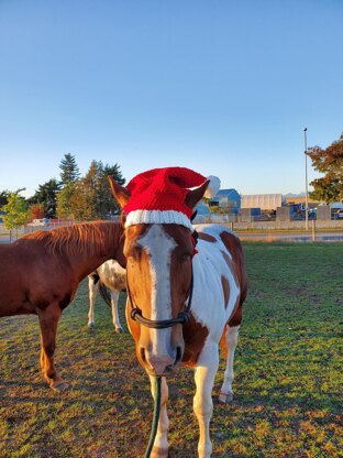 Horse Santa Hat