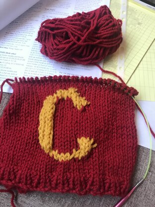 Callum’s Gryffindor Jumper