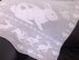 Bunny Baby Blanket Filet Graph